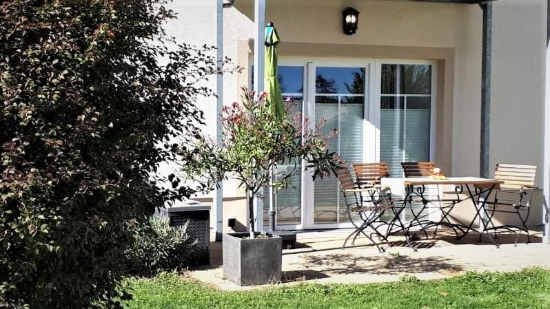 Ferienhof Graefe - 3-Seiten Hof Mit Grossem Garten, Pool & Sauna Meißen المظهر الخارجي الصورة